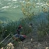 Search and rescue team saves paddleboarders stranded on Thompson River