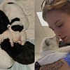 Okanagan Humane Society caring for puppies after crash, death of mother