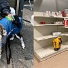 Donations decline as demand surges at BC SPCA pet food banks