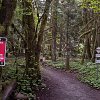 BC man attacked by black bear while out for a run