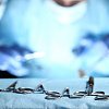 BC pharmacist loses malpractice lawsuit over sleep apnea jaw surgery