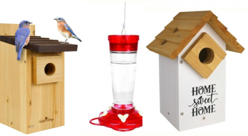 Time to bring in the birdfeeder, put out some nesting boxes and a hummingbird feeder