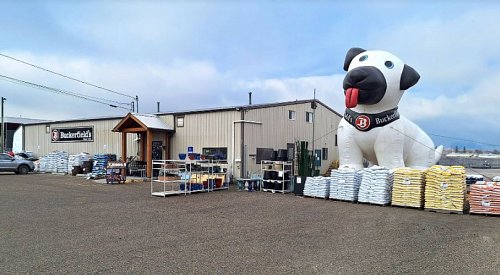 Grand opening today at Buckerfield's Vernon