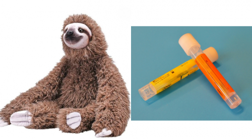 Who left the cat urine sample, stuffed sloth and gold teeth in the Uber?