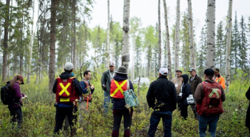 ‘A renewed relationship’: BC responds to forestry crisis with BC Timber Sales reforms