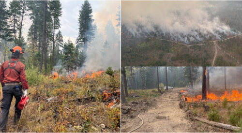 Peachland wildfire: More evacuation orders downgraded, fire remains out of control
