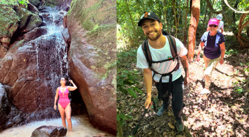 Jungle Me in Rio de Janeiro