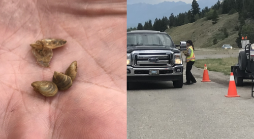 27,100 inspections, lake monitoring keep BC free of invasive mussel for another year