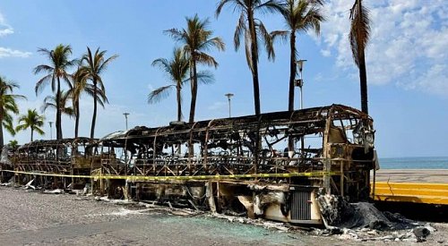PHOTOS: A tour through Puerto Vallarta's devastating aftermath with a Kelowna guide