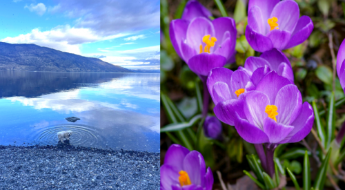 Spring is awesome and it arrives Friday at 7:46 am