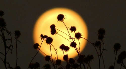The full moon is here: Are you feeling anxious, unsettled, tense, violent?