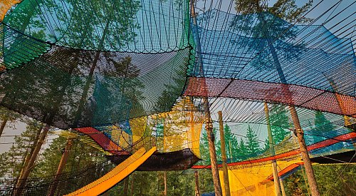 Wow! New forest canopy fun in Golden, BC