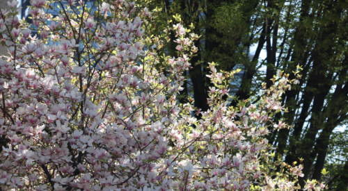 Kelowna weather: Mainly sunny to end the weekend