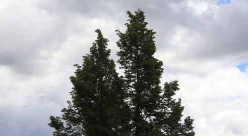 Kelowna weather: Showers to start the weekend