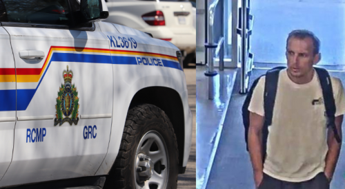 Lower Mainland RCMP looking for alleged serial ice cream thief