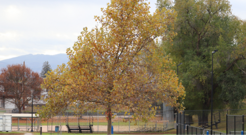 Kelowna weather: Showers throughout the day to end the weekend