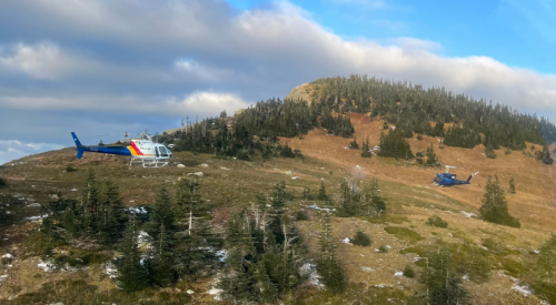 UPDATE: Hikers stable after grizzly sow attack in northern BC