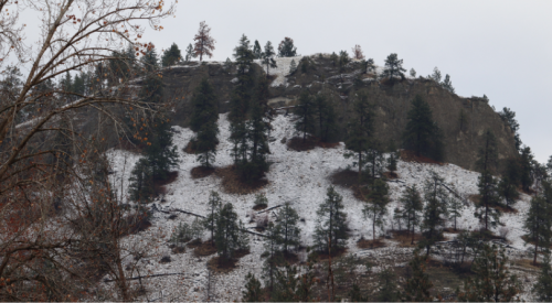 Kelowna weather: Mainly cloudy, chance of afternoon flurries