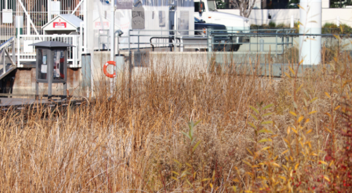 Kelowna weather: Mix of sun and clouds to end November