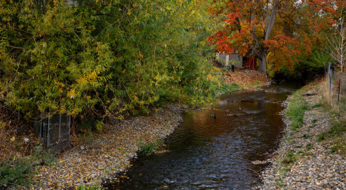 Kelowna weather: Mild, gusty, mostly dry start to the week