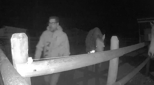 Man charged with bestiality after alleged incident at equestrian centre in Vernon