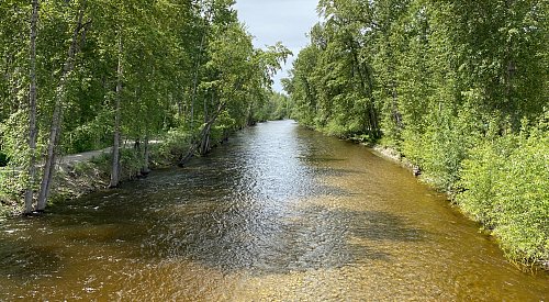 ‘Rising water levels’ forces temporary closure of Mission Creek Greenway underpass