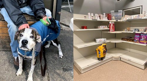 Donations decline as demand surges at BC SPCA pet food banks