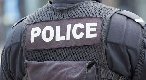 Elderly man seriously injured in BC Interior dog attack